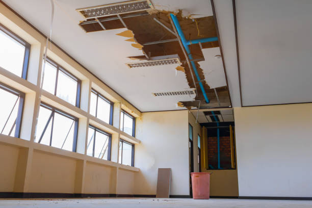  Mountain Top, PA Water damage restoration Pros