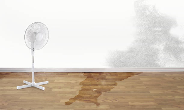 Best Water damage restoration near me  in Mountain Top, PA
