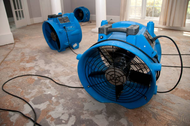 Best 24-hour water damage restoration  in Mountain Top, PA