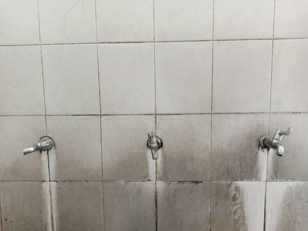 Best Mold removal after water damage  in Mountain Top, PA