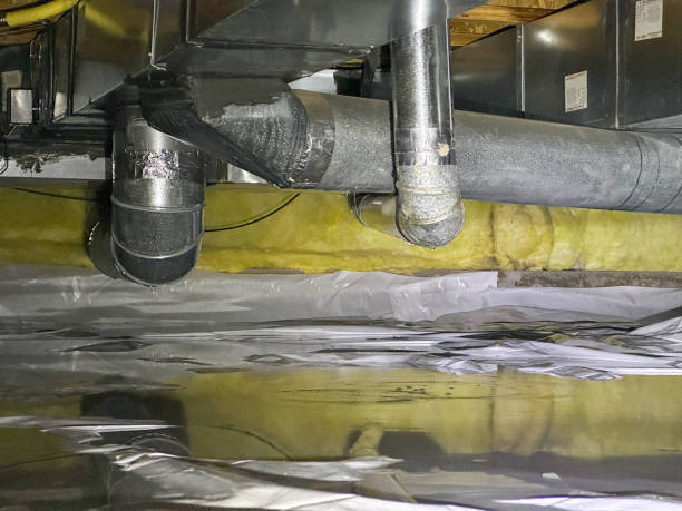 Best Basement water damage restoration  in Mountain Top, PA