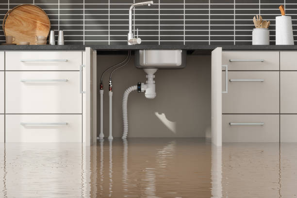 Best Water damage restoration services  in Mountain Top, PA