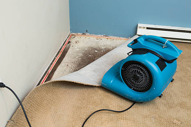 Best Water damage restoration near me  in Mountain Top, PA